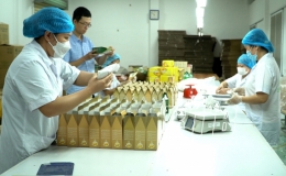 Doanh nghiệp đẩy mạnh ứng dụng thương mại điện tử