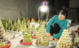 Làng phát lộc “mất lộc”