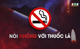 Nói không với thuốc lá (Số 7)