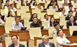 Quốc hội thảo luận về công tác phòng, chống tội phạm; công tác thi hành án; công tác phòng, chống tham nhũng năm 2022