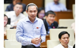 Quốc hội tiến hành chất vấn và trả lời chất vấn