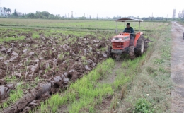 Tiền Hải: Phấn đấu gieo cấy 9.900ha lúa xuân