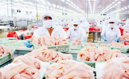 Xuất khẩu cá tra tăng trưởng mạnh mẽ
