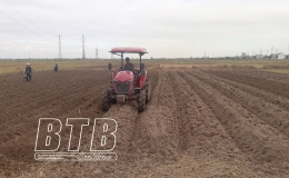 Nét mới trong sản xuất cây vụ đông ở Kiến Xương