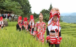 Bộ Văn hóa, Thể thao và Du lịch sẽ hỗ trợ phục hồi bảo tồn văn hóa phi vật thể dân tộc thiểu số có nguy cơ mai một