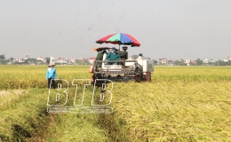 Một số vấn đề lý luận và thực tiễn CNH, HĐH nông nghiệp nông thôn ở Việt Nam hiện nay
