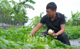 “Đảng viên đi trước...”