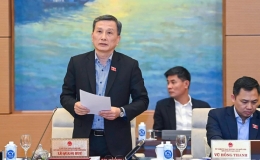 Đề nghị bổ sung chế tài xử lý việc bỏ cọc khi đấu giá kho số viễn thông