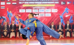 Giải vô địch Vovinam thế giới lần thứ VII năm 2023
