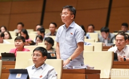 Hệ thống pháp luật cơ bản đáp ứng yêu cầu phát triển kinh tế-xã hội, bảo đảm quốc phòng an ninh