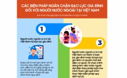 Các biện pháp ngăn chặn bạo lực gia đình đối với người nước ngoài tại Việt Nam