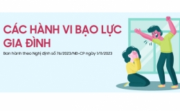 Các hành vi bạo lực gia đình