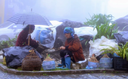 Không khí lạnh tăng cường, vùng núi cao có nơi dưới 10 độ C