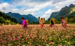 Kinh nghiệm du lịch Hà Giang