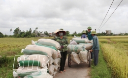 Kỳ II: Nhận diện những khó khăn