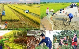 Phấn đấu đưa tỷ lệ hộ nghèo cả nước còn khoảng 0,9% vào cuối năm 2025