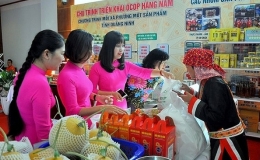 Quy trình đánh giá, phân hạng sản phẩm OCOP