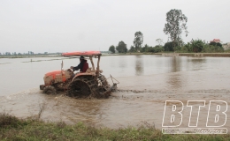 Thời gian đổ ải tập trung từ ngày 23 – 30/1/2024