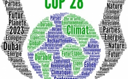 Thông tin về Hội nghị thượng đỉnh Hành động khí hậu thế giới trong khuôn khổ COP28