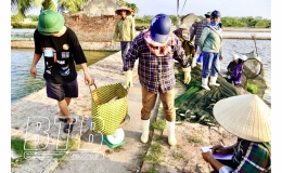 Thụy Xuân: Đẩy mạnh phát triển nuôi trồng thủy sản