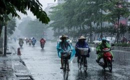 Tin gi&oacute; m&ugrave;a Đ&ocirc;ng Bắc khu vực tỉnh Th&aacute;i B&igrave;nh 