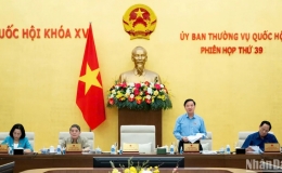 Bảo đảm chất lượng các dự thảo luật, nghị quyết trình Quốc hội biểu quyết thông qua