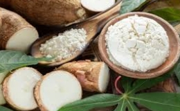 Ghé thăm quốc gia sản xuất sắn lớn nhất thế giới