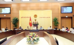 Tập trung giải quyết những vấn đề cấp bách trong công tác phòng, chống ma túy