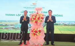 Tập trung nghiên cứu, phát triển các giống cây trồng thích ứng với biến đổi khí hậu