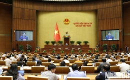 Thông cáo báo chí số 20, Kỳ họp thứ 8, Quốc hội khóa XV