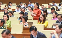 Thúc đẩy tạo việc làm, bảo vệ quyền lợi của người lao động trong kỷ nguyên số