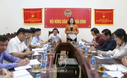 Tiếp tục quan tâm, hướng dẫn thành lập chi hội, tổ hội nông dân nghề nghiệp