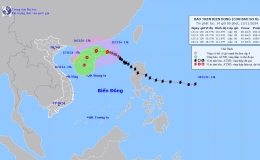 Tin bão trên biển Đông (Cơn bão số 8)