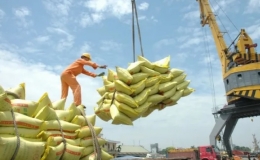 Xuất khẩu gạo có thể vượt kỷ lục của năm 2023