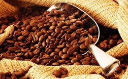 Sản lượng cà phê sẽ giảm tới 30%