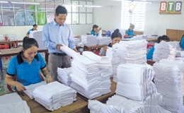 Phúc Vĩnh: Từ hộ sản xuất phát triển thành doanh nghiệp