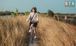 Cánh đồng cỏ lau bạt ngàn ở Thái Đô - Điểm đến mới của giới trẻ