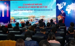 Xuất nhập khẩu hàng hóa của Việt Nam đạt mốc 400 tỷ USD