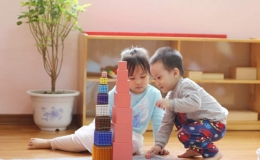Montessori – phương pháp giáo dục sớm được nhiều trường ứng dụng