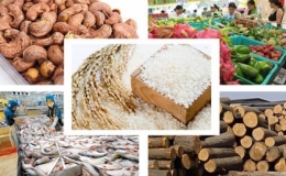 Xuất khẩu nông sản Việt Nam năm 2018 vượt kỷ lục 40 tỷ USD