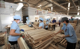 Giá trị xuất siêu lâm sản gần 7 tỷ USD