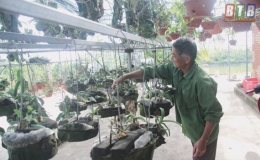 Hội Nông dân xã Nam Thắng: Giúp hội viên phát triển kinh tế