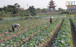 Đông Hưng: Gần 34.000 hội viên nông dân đạt danh hiệu sản xuất, kinh doanh giỏi