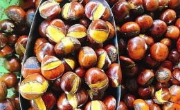 Hạt dẻ Trung Quốc gắn mác Sapa đổ về Việt Nam