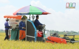 Vũ Thư: Cơ giới hóa đáp ứng 100% khâu làm đất và thu hoạch