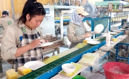Công ty Cổ phần Gốm sứ Long Hầu vượt khó để tăng trưởng