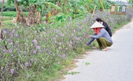 Làm theo Bác từ những điều nhỏ nhất