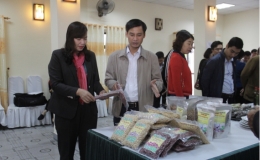 Hội nghị phát triển hợp tác, liên kết trong sản xuất và tiêu thụ nông sản