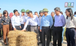 Trung tâm Khuyến nông Thái Bình: Đẩy mạnh chuyển giao kỹ thuật chăn nuôi trâu, bò thương phẩm