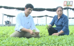 Tổng kết Chương trình MTCP2